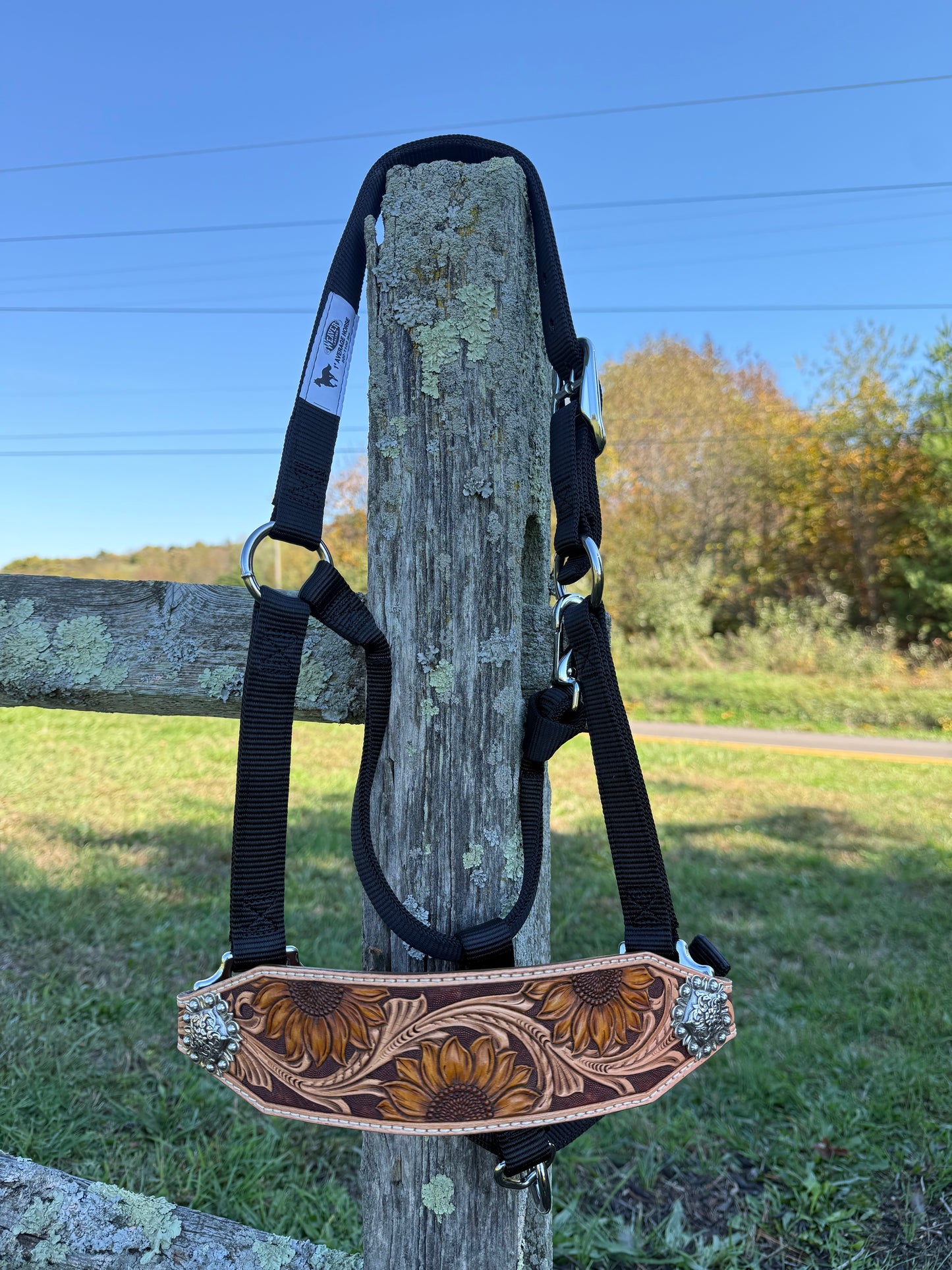Tooled leather noseband for horse halter